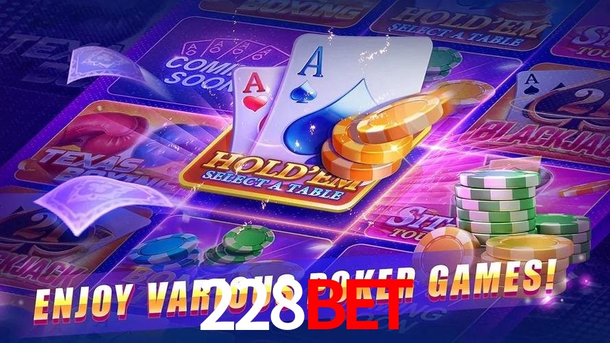 228bet Logo 1
